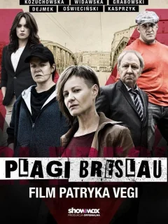 Язвы Бреслау