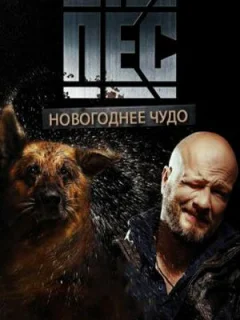 Новогодний пёс