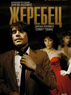Жеребец