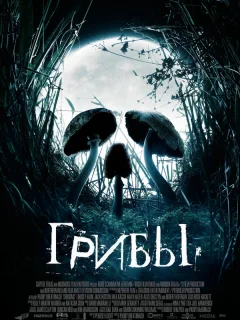 Грибы