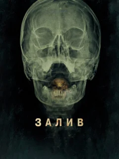 Залив