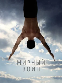 Мирный воин